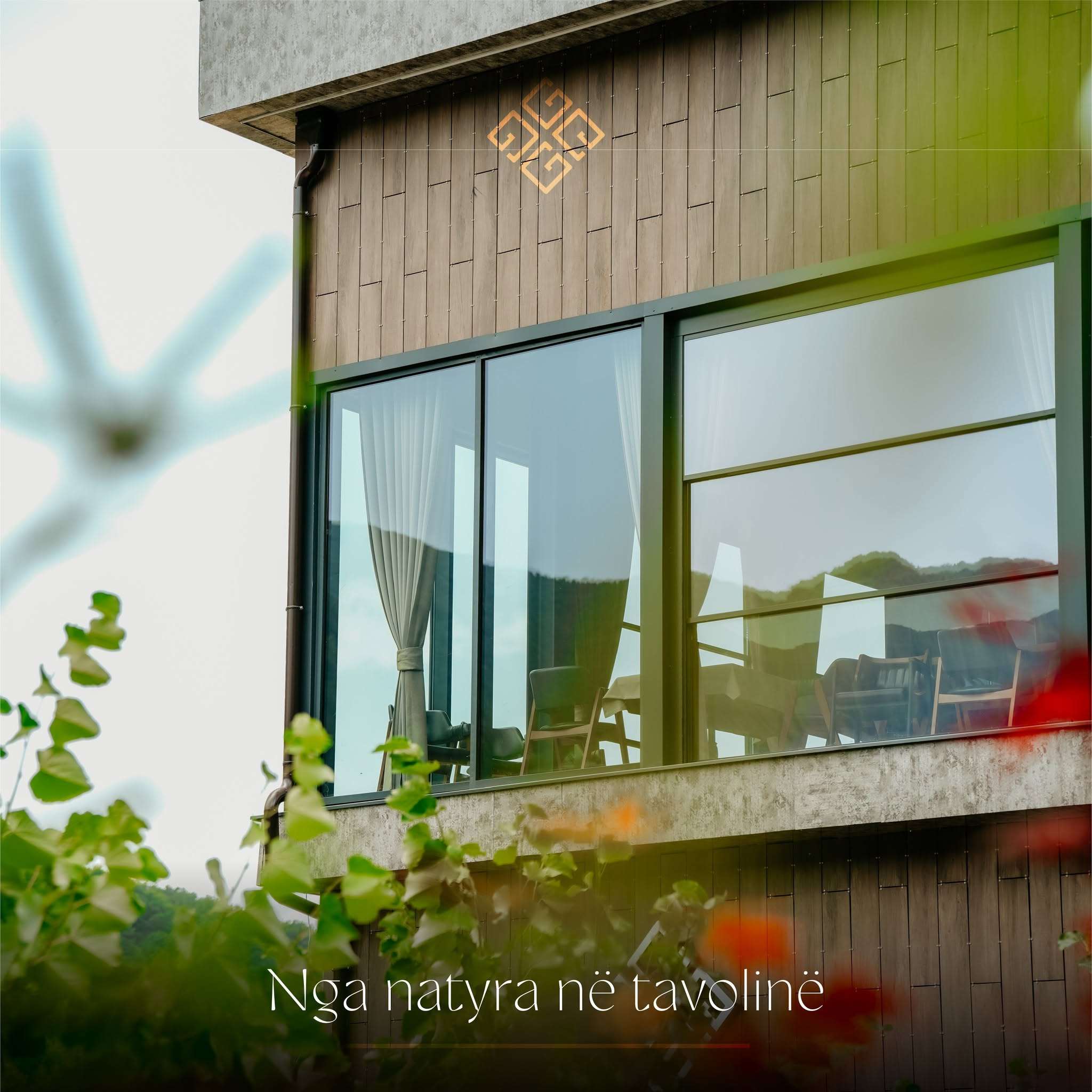 Fasada moderne e hotelit